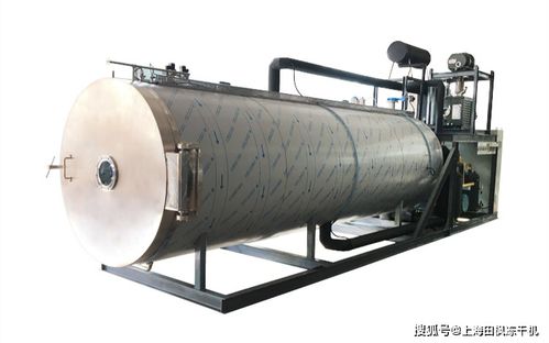 獼猴桃凍干粉凍干加工方法